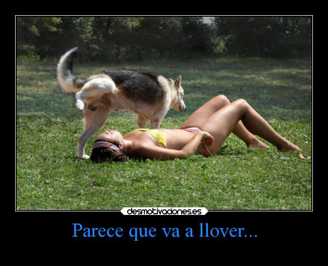 carteles animales humor perros llover desmotivaciones