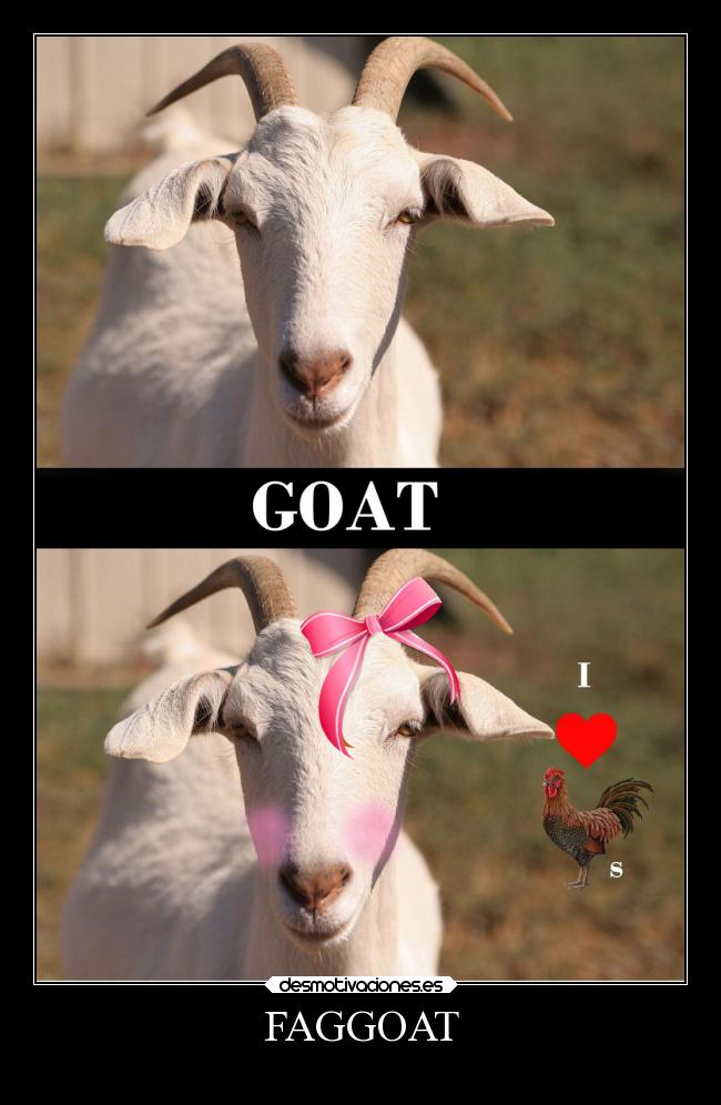 carteles animales juego palabras para ninos lees esto eres marica parentesis angular tres desmotivaciones