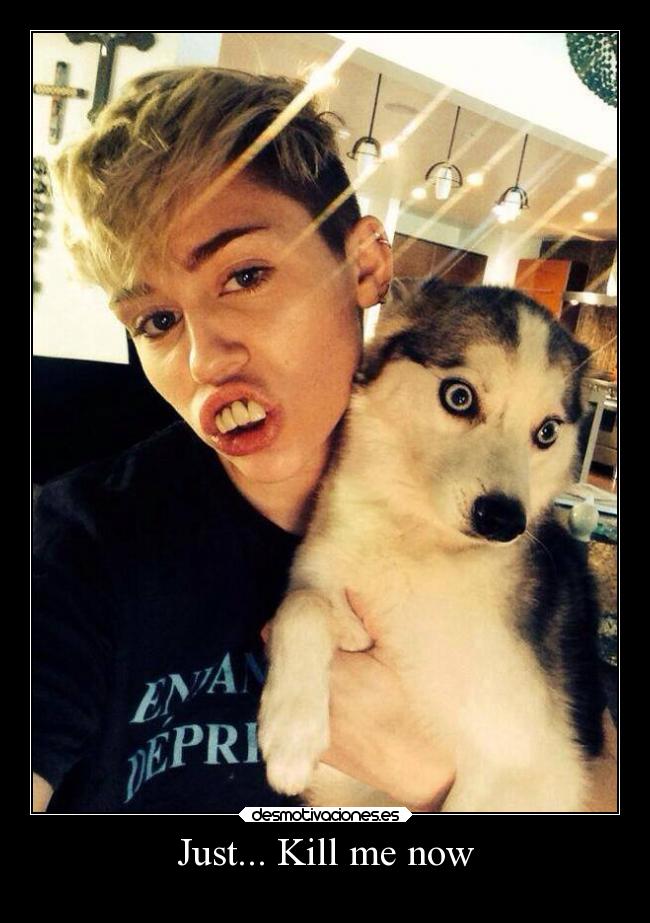 carteles animales perrito kill please miley cyrus desmotivaciones
