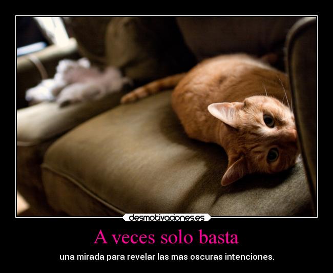 A veces solo basta - una mirada para revelar las mas oscuras intenciones.