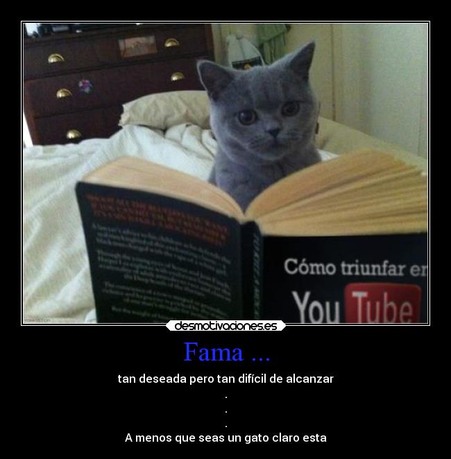 Fama ... - tan deseada pero tan difícil de alcanzar
.
.
.
A menos que seas un gato claro esta
