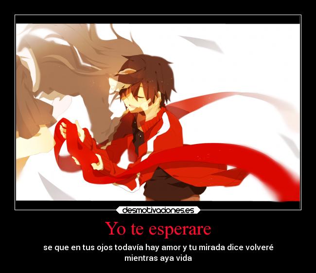 Yo te esperare - 