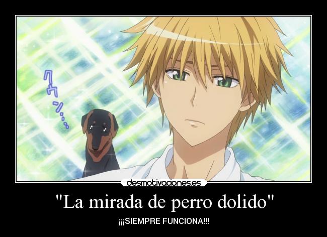 La mirada de perro dolido - ¡¡¡SIEMPRE FUNCIONA!!!