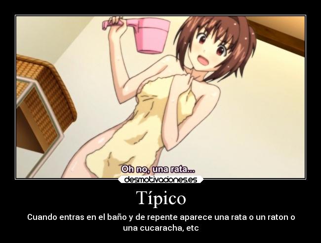 Típico - 