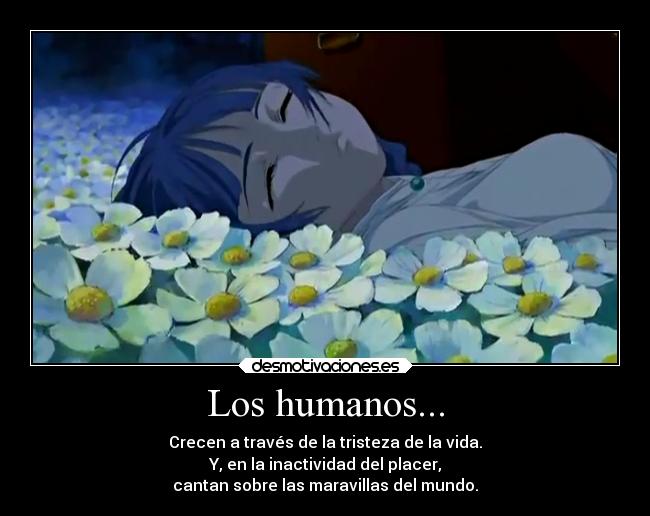Los humanos... - 