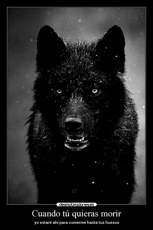 Cuando tú quieras morir - yo estaré ahí para comerme hasta tus huesos