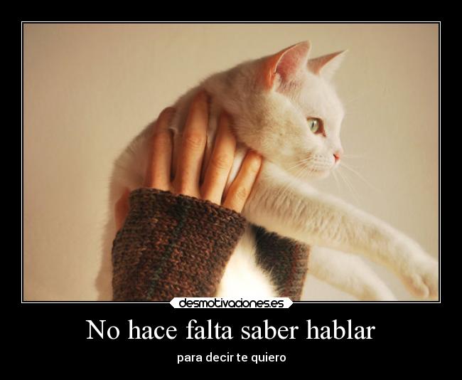 No hace falta saber hablar - para decir te quiero