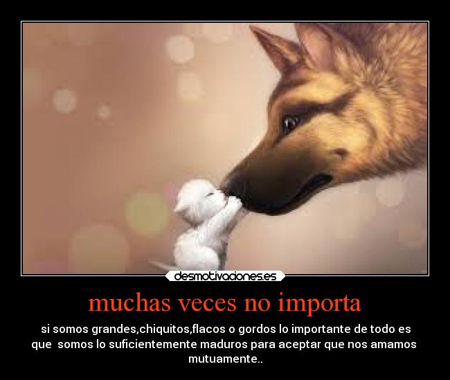 muchas veces no importa - 