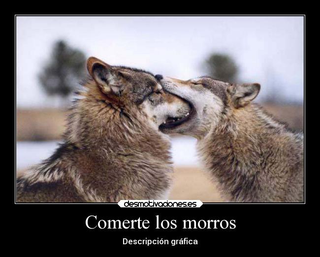 Comerte los morros - Descripción gráfica