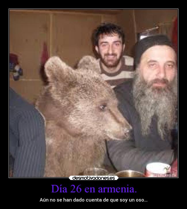 Día 26 en armenia. - Aún no se han dado cuenta de que soy un oso...