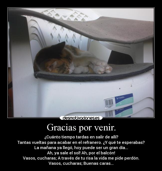 Gracias por venir. - ¿Cuánto tiempo tardas en salir de allí?
Tantas vueltas para acabar en el refranero. ¿Y qué te esperabas?
La mañana ya llegó, hoy puede ser un gran día...
Ah, ya sale el sol! Ah, por el balcón!
Vasos, cucharas; A través de tu risa la vida me pide perdón.
Vasos, cucharas; Buenas caras...