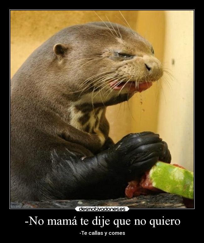 -No mamá te dije que no quiero - -Te callas y comes