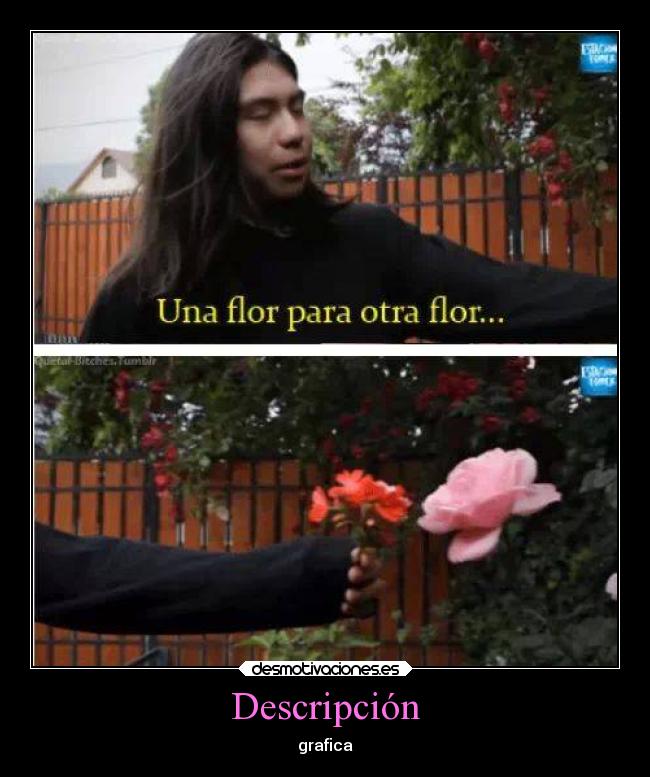 Descripción - grafica