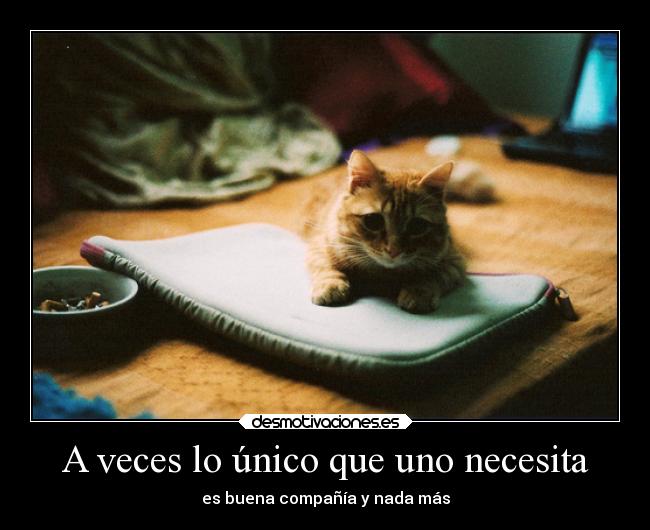 A veces lo único que uno necesita - es buena compañía y nada más