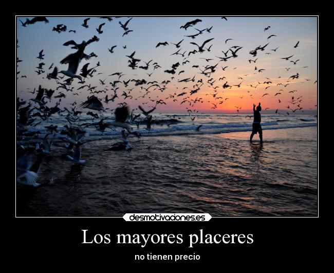 Los mayores placeres - no tienen precio