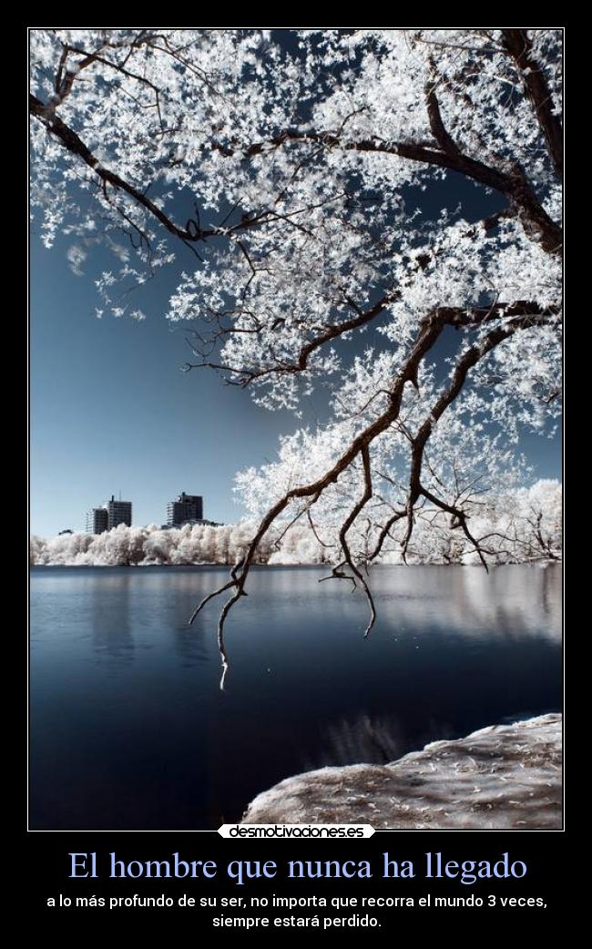 carteles confianza desmotivaciones