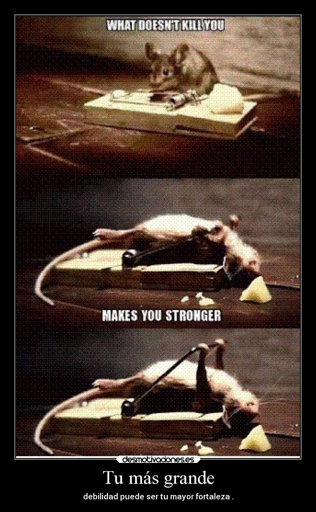 carteles confianza mieldalaabeja hijosdelagranprogenitora desmotivaciones