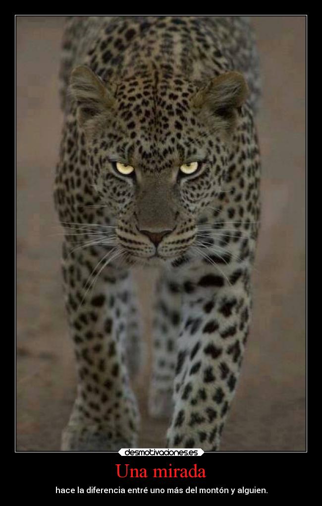 Una mirada - hace la diferencia entré uno más del montón y alguien.