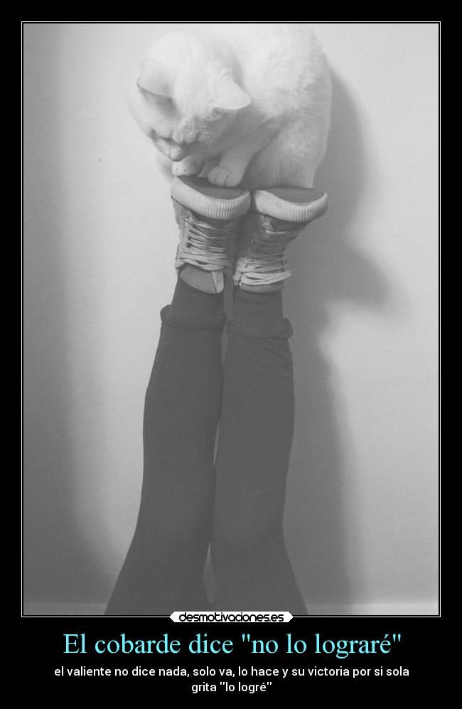 carteles confianza valiente desmotivaciones