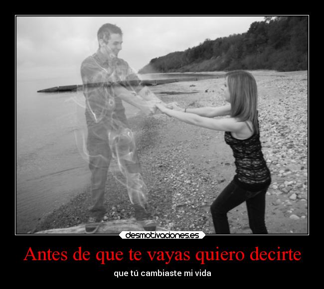 Antes de que te vayas quiero decirte -