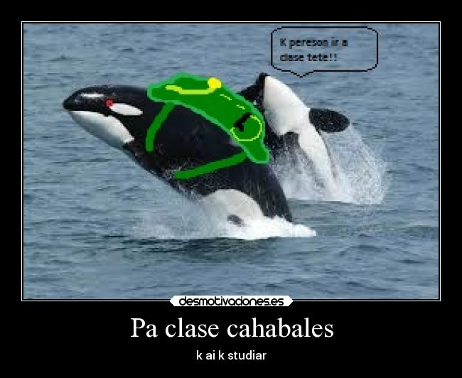 Pa clase cahabales - k ai k studiar