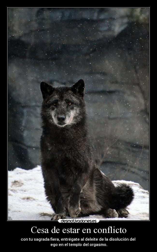 Cesa de estar en conflicto - con tu sagrada fiera, entrégate al deleite de la disolución del 
ego en el templo del orgasmo.