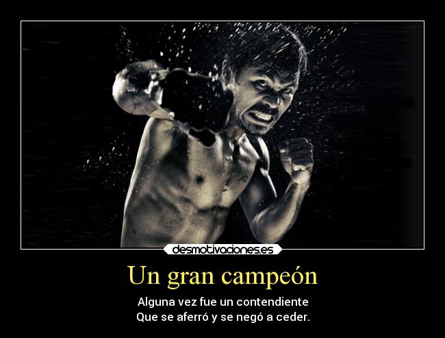 carteles deportes gran campeon fue retador contendiente nego caer desmotivaciones