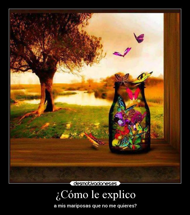 carteles desamor amor desmotivaciones