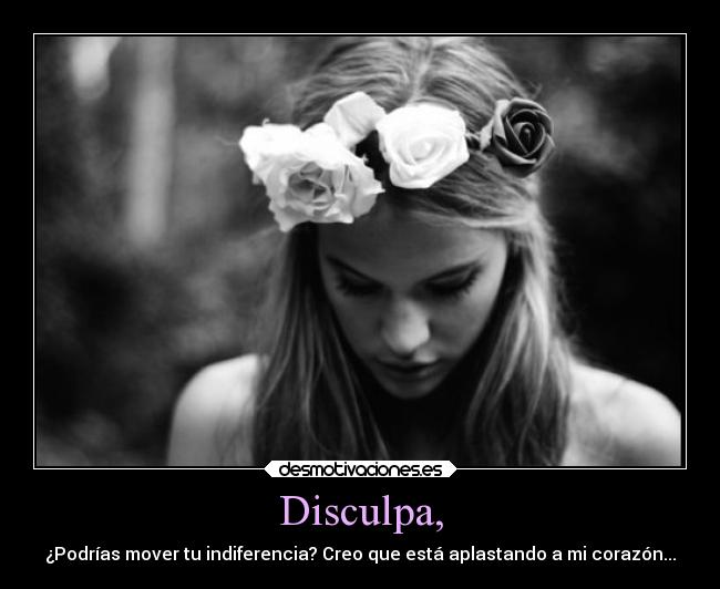 Disculpa, -
