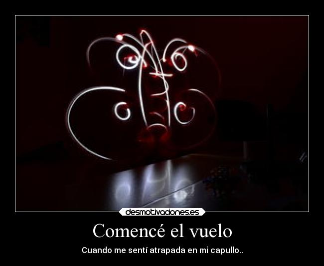 Comencé el vuelo - Cuando me sentí atrapada en mi capullo..