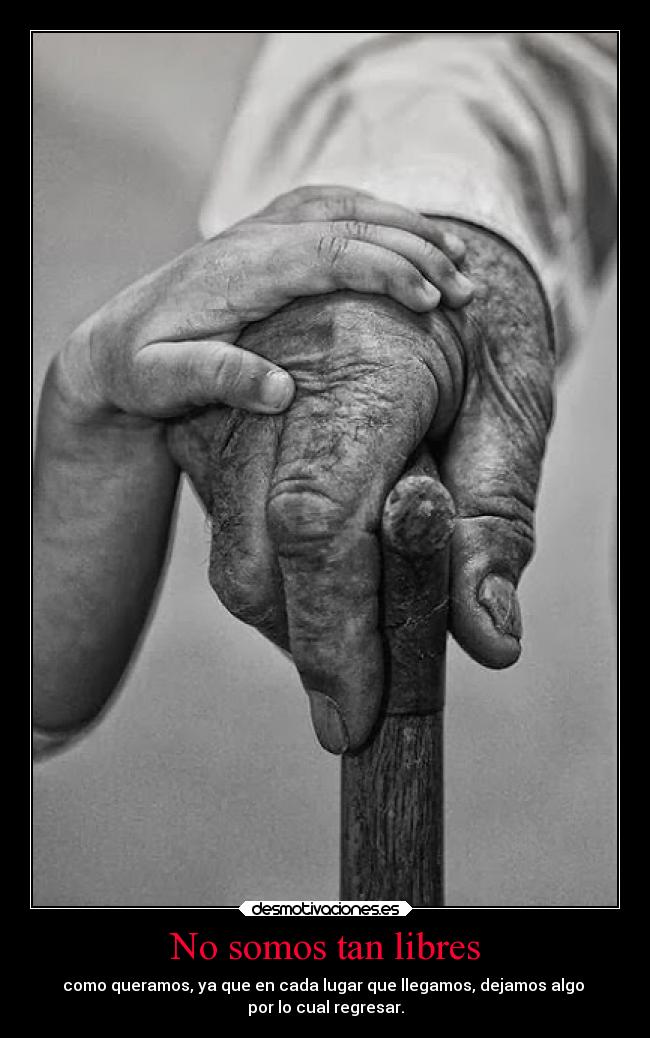 carteles deseos mieldalaabeja hijosdelagranprogenitora desmotivaciones