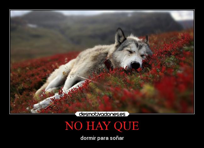NO HAY QUE - dormir para soñar