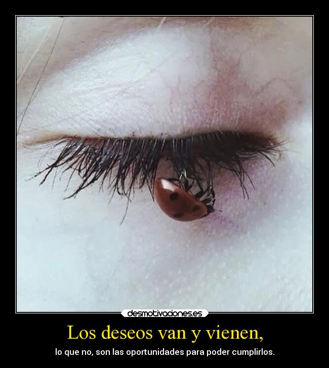 carteles deseos deseos suenos megustaesebicho desmoc3 lll fede28 desmotivaciones