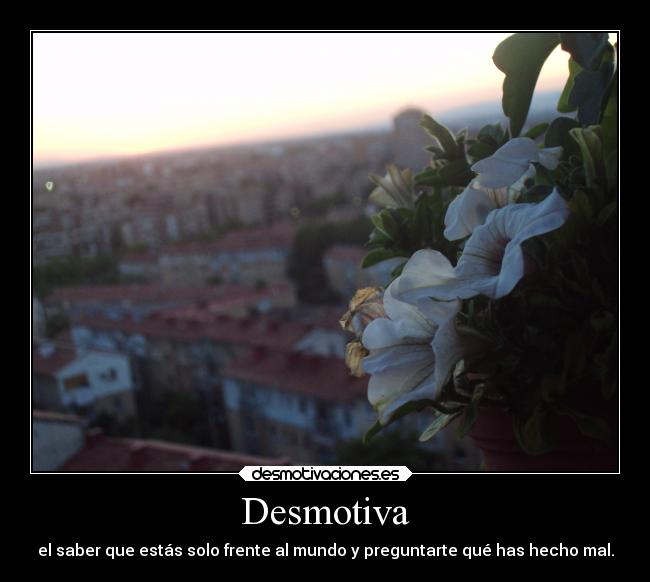 Desmotiva - el saber que estás solo frente al mundo y preguntarte qué has hecho mal.
