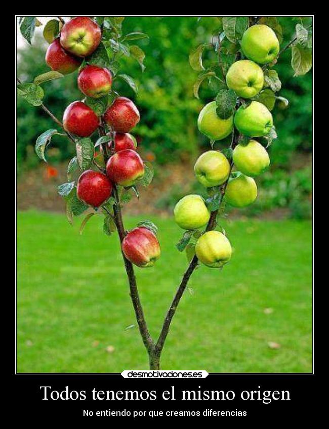 carteles desmotivaciones desmotivaciones