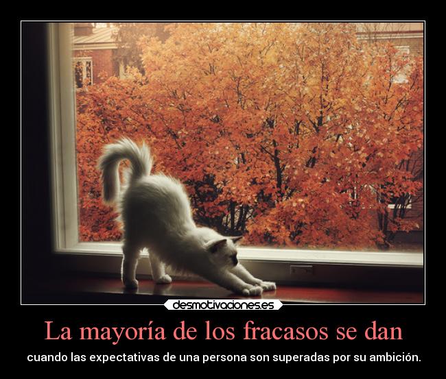 La mayoría de los fracasos se dan -