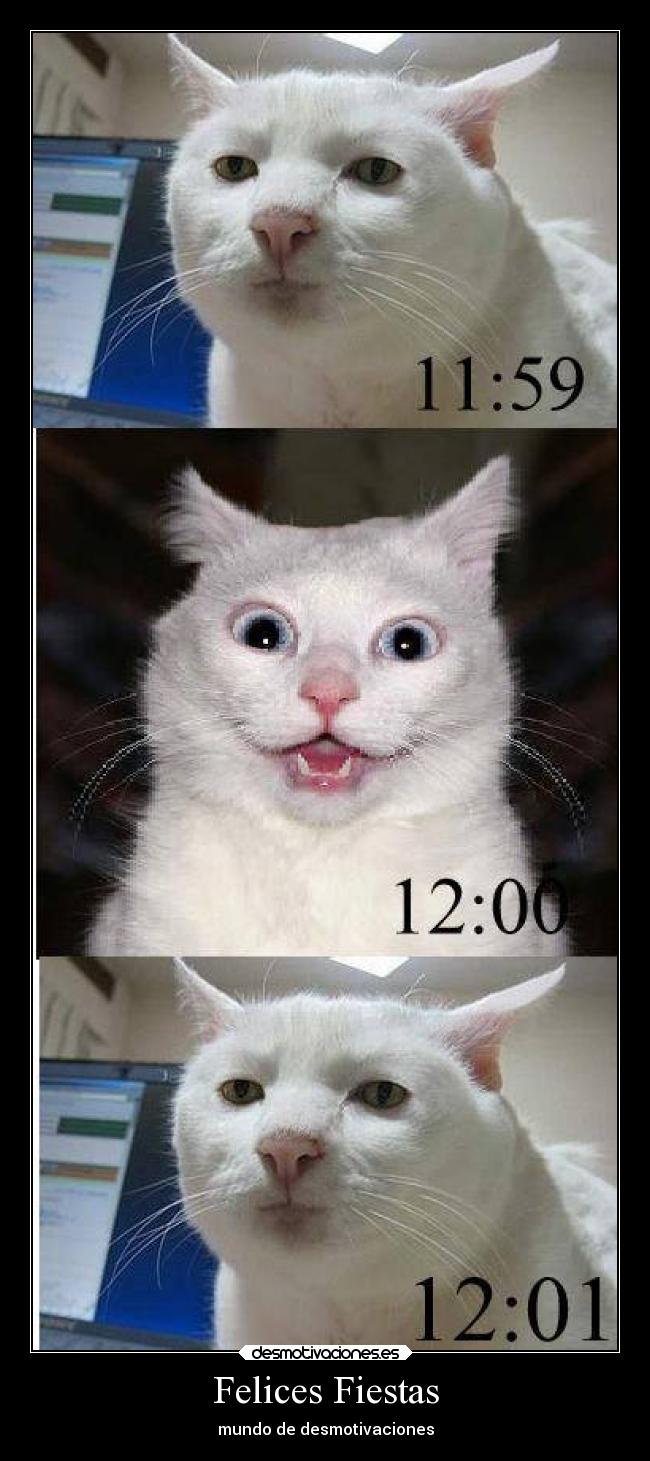 Felices Fiestas - mundo de desmotivaciones