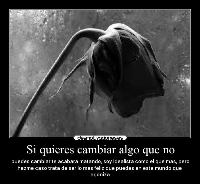 Si quieres cambiar algo que no - puedes cambiar te acabara matando, soy idealista como el que mas, pero
hazme caso trata de ser lo mas feliz que puedas en este mundo que
agoniza