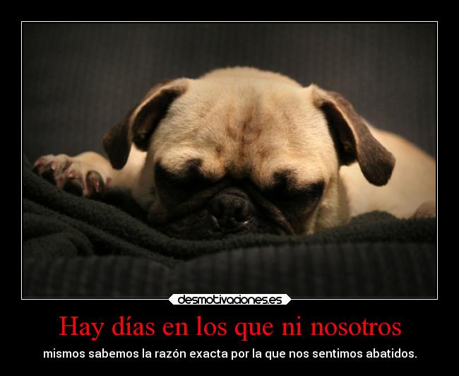 carteles desmotivaciones sarahdc desmotivaciones