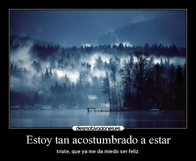 Estoy tan acostumbrado a estar - 