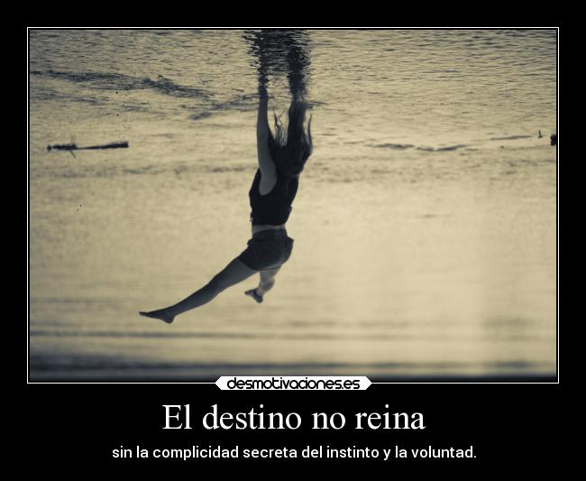 El destino no reina -