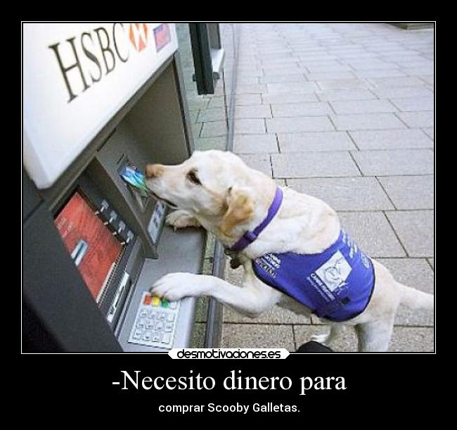 -Necesito dinero para -