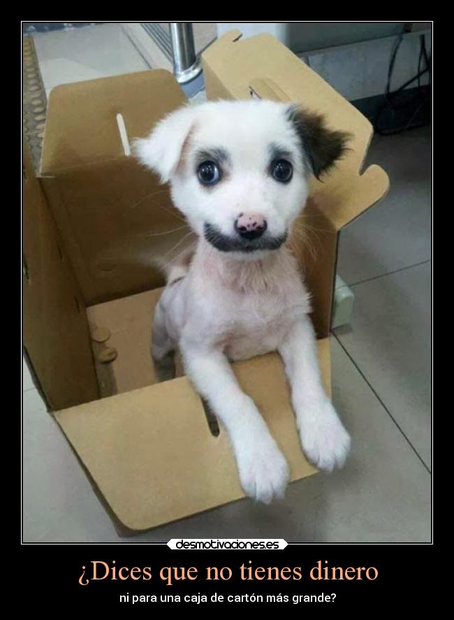 ¿Dices que no tienes dinero -