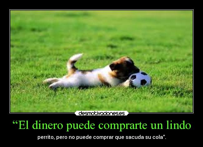 “El dinero puede comprarte un lindo - 