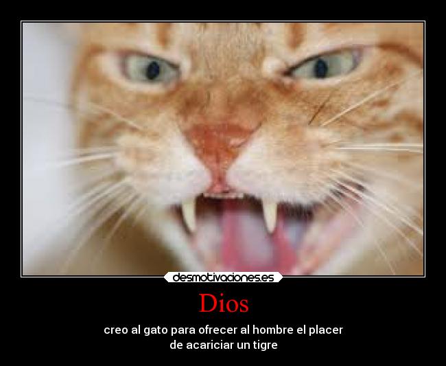 Dios - creo al gato para ofrecer al hombre el placer
de acariciar un tigre