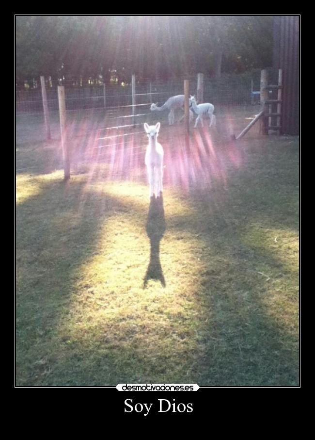 Soy Dios -