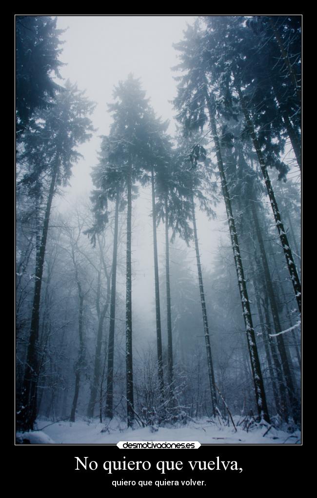 No quiero que vuelva, - 