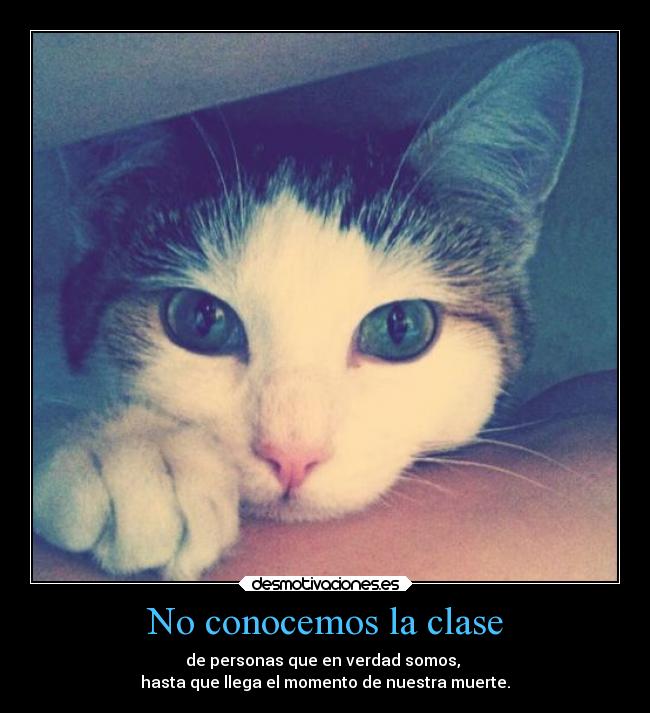 carteles dolor itachi uchiha desmotivaciones