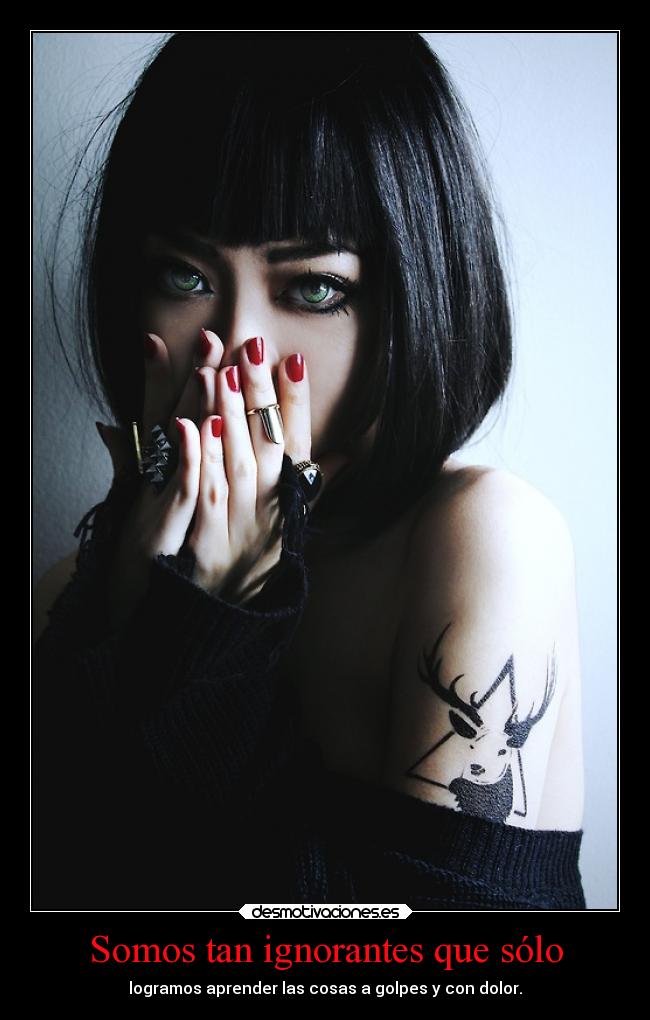 Somos tan ignorantes que sólo - 