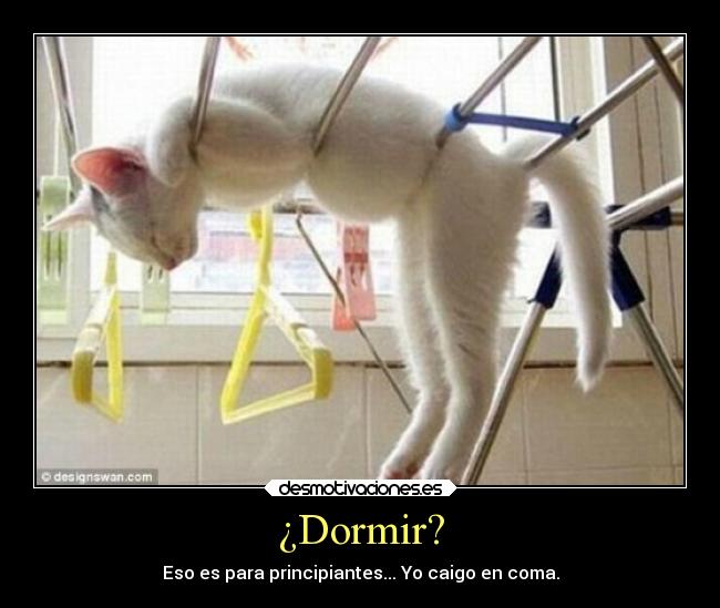 ¿Dormir? -